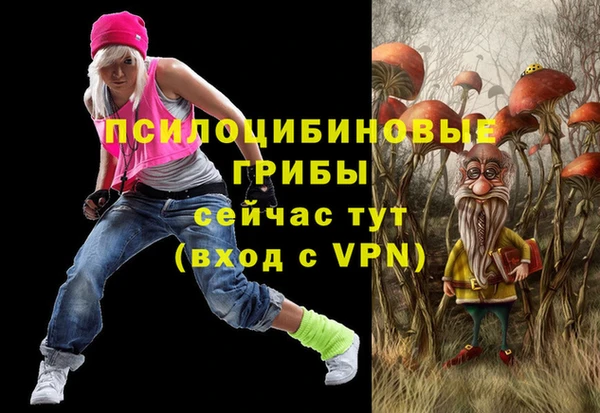 не бодяженный Абаза