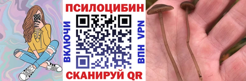 Псилоцибиновые грибы GOLDEN TEACHER  ОМГ ОМГ онион  Кудымкар 